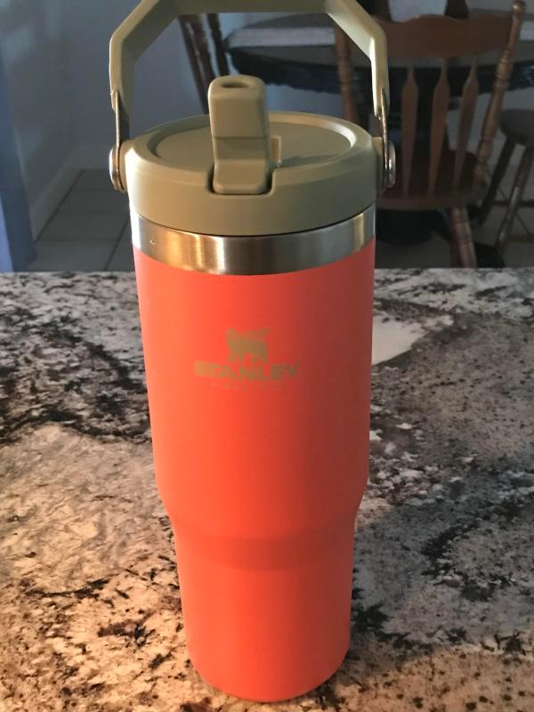 Stanley IceFlow Flip Straw Tumbler - 30oz - Blaze Orange, Water Bottles