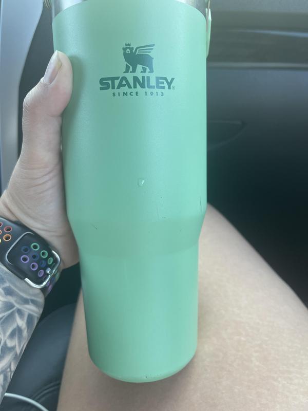 Stanley The IceFlow™ Flip Straw Tumbler 30 oz – Occasionally Yours