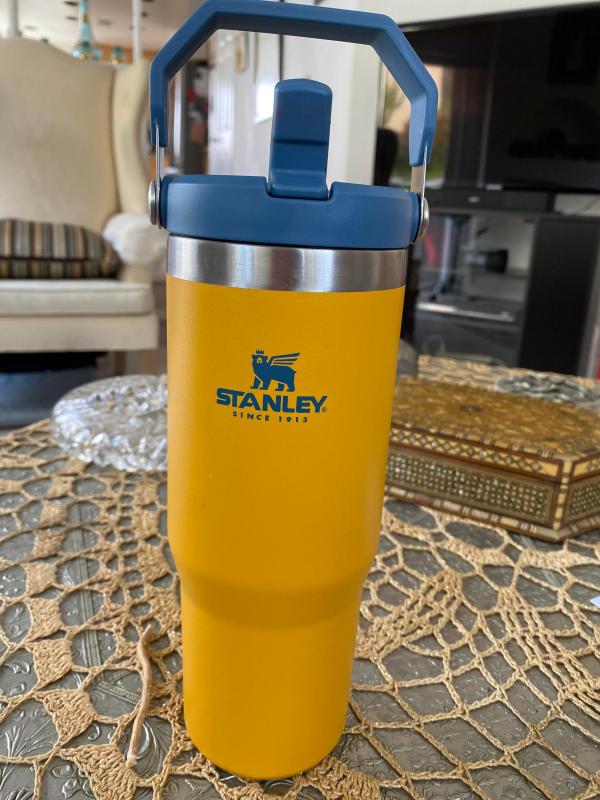 STANLEY Quick Flip Go Insulated 24 oz. Aloe Stainless Steel Water