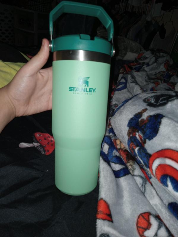 Stanley The IceFlow Flip Straw Tumbler 30 oz Tigerlily