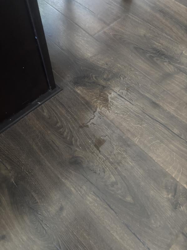 Photo submitted with review of product