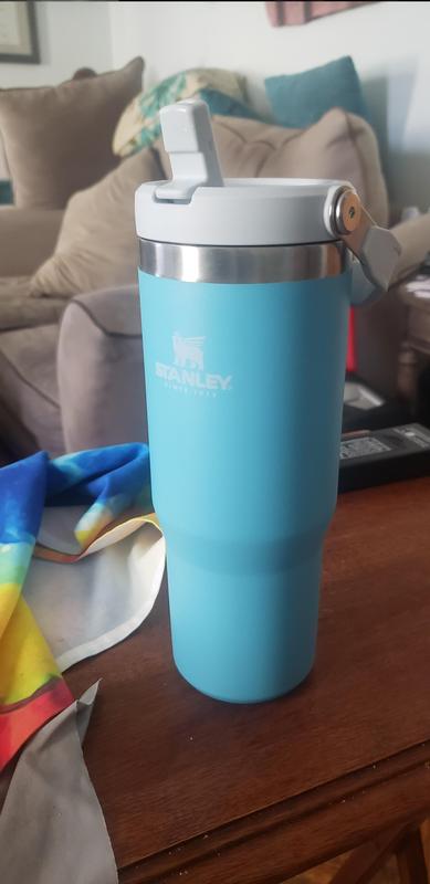 Stanley The IceFlow™ Flip Straw Tumbler 30 oz – Occasionally Yours