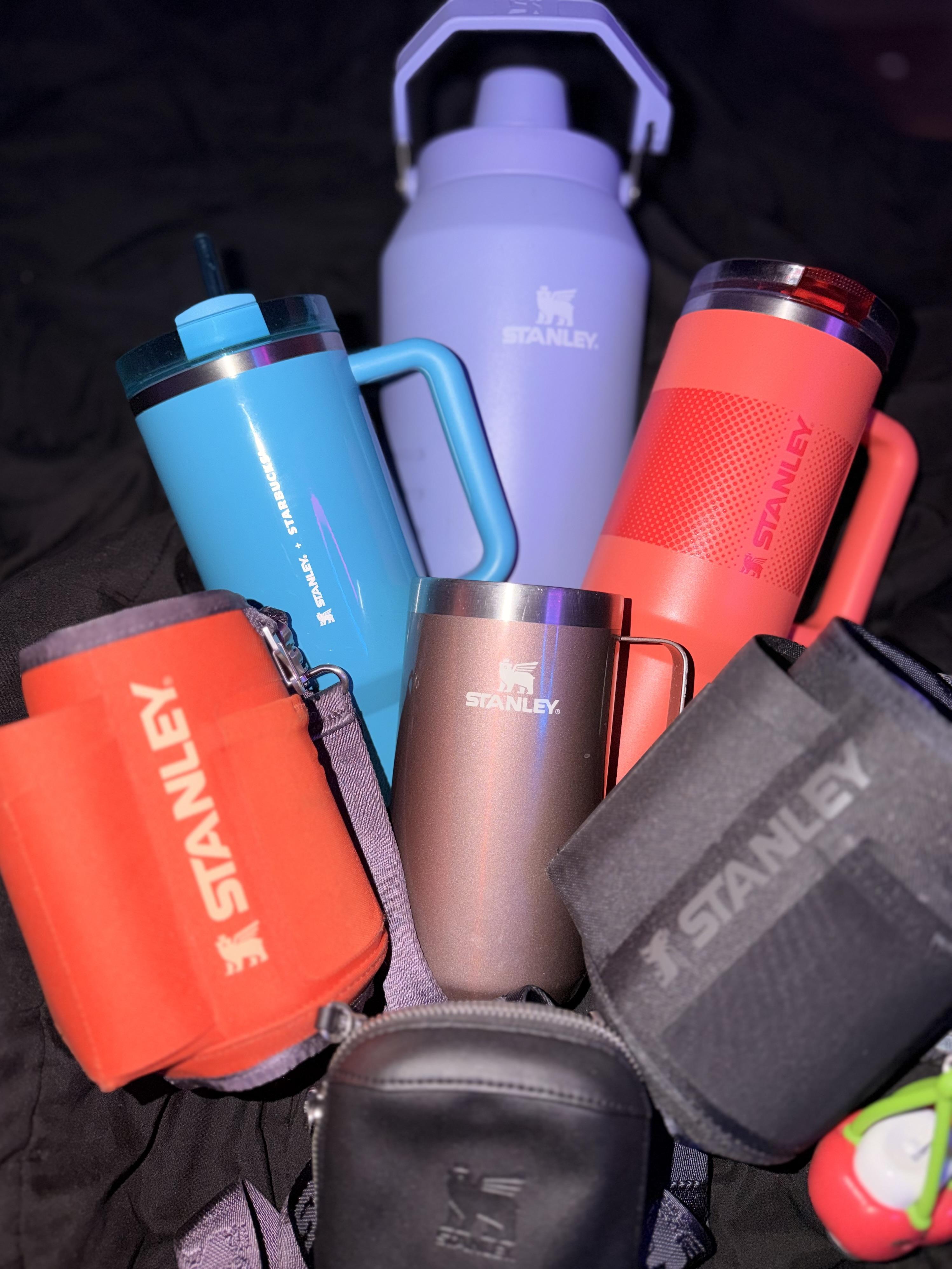 Stanley All Day 40 oz. Quencher Carry-All | Dick's Sporting Goods
