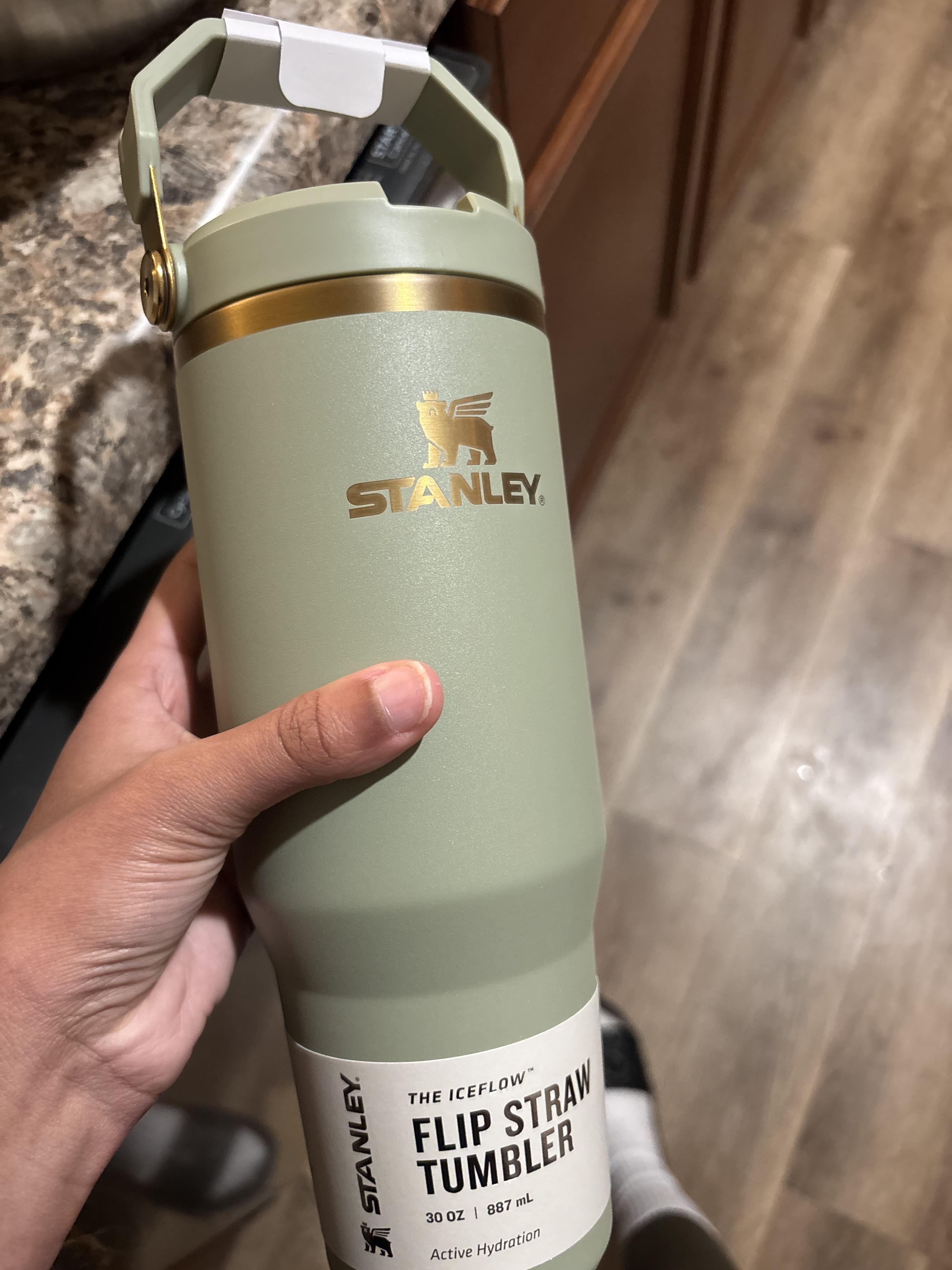 Stanley 30 oz. IceFlow Flip Straw Tumbler | Golf Galaxy