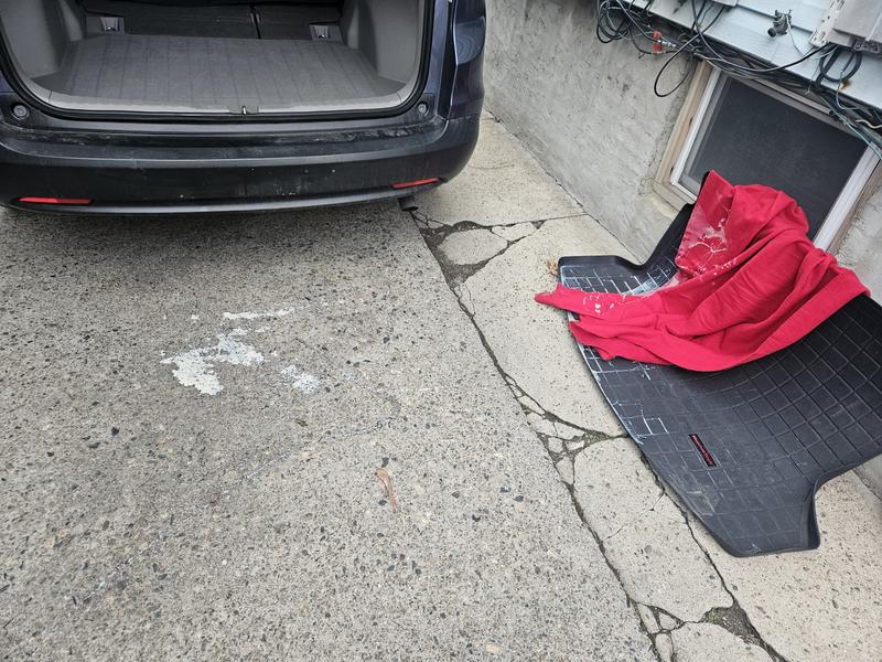 Photo submitted with review of product