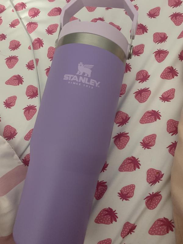 NEW! Stanley IceFlow Tumbler Leak-proof Flip Straw Lavender Review 