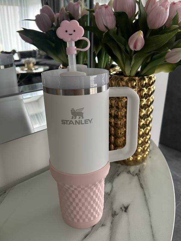 Quencher H2.0 FlowState™ Tumbler | 0.8L – Stanley 1913