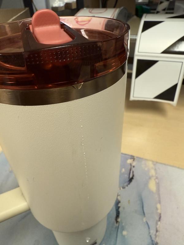 The Oasis Quencher ProTour Flip Straw Tumbler | 1.2L – Stanley 1913