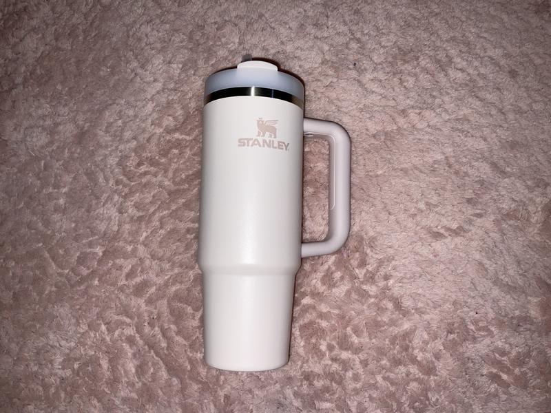 Quencher H2.0 FlowState™ Tumbler | 0.8L – Stanley 1913