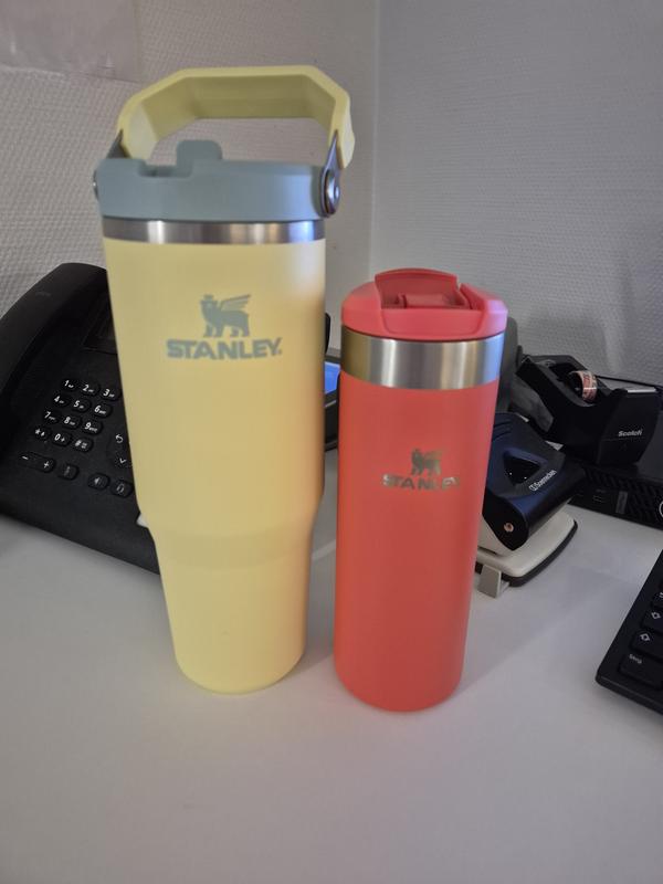 Stanley Iceflow 2.0 Flip Straw Tumbler (890ml) | Harrods IN