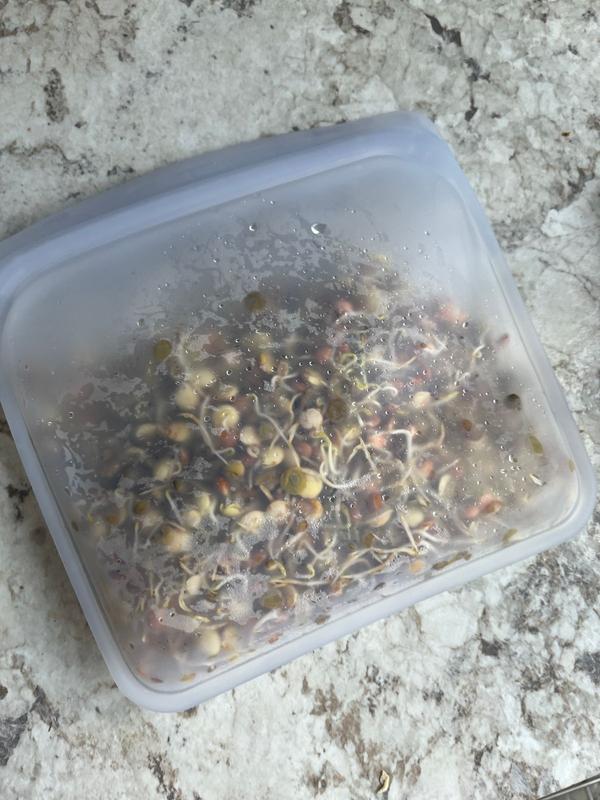 Review Thumbnail Image 1 377147749