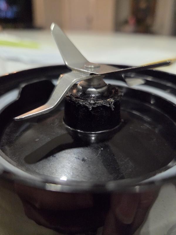 Photo - commentaire&nbsp;2.