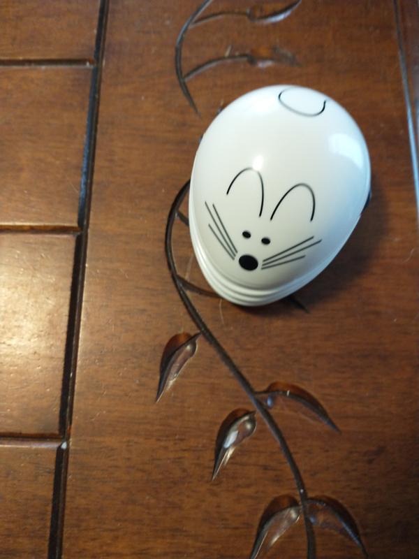 Photo - commentaire 5.