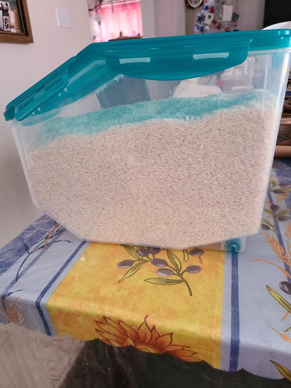 I think 10 kg. of rice will fit here.