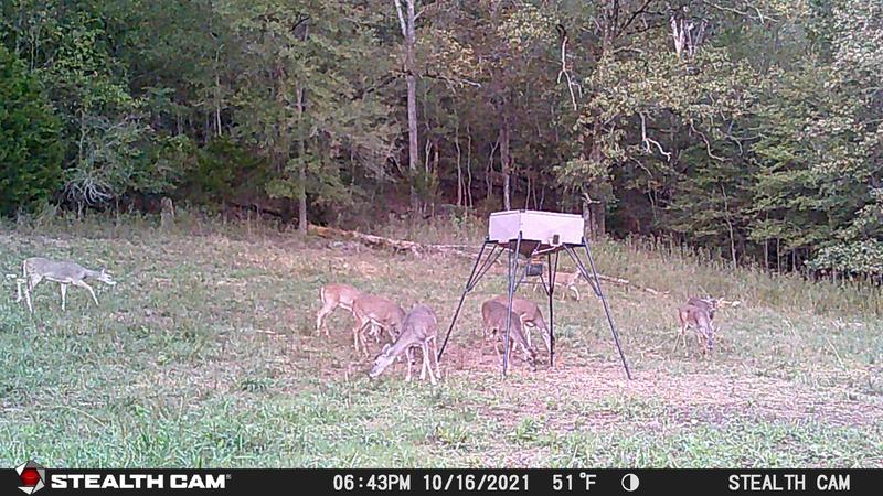 Buffet is open