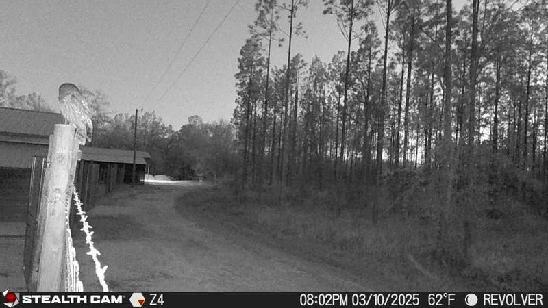 Barn Owl at Otter Creek PWP Farm at Night