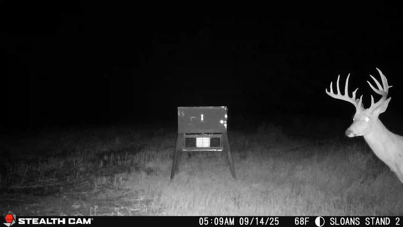 You can see me watching from the cliff in the background if you zoom in. That is 320 yards away.