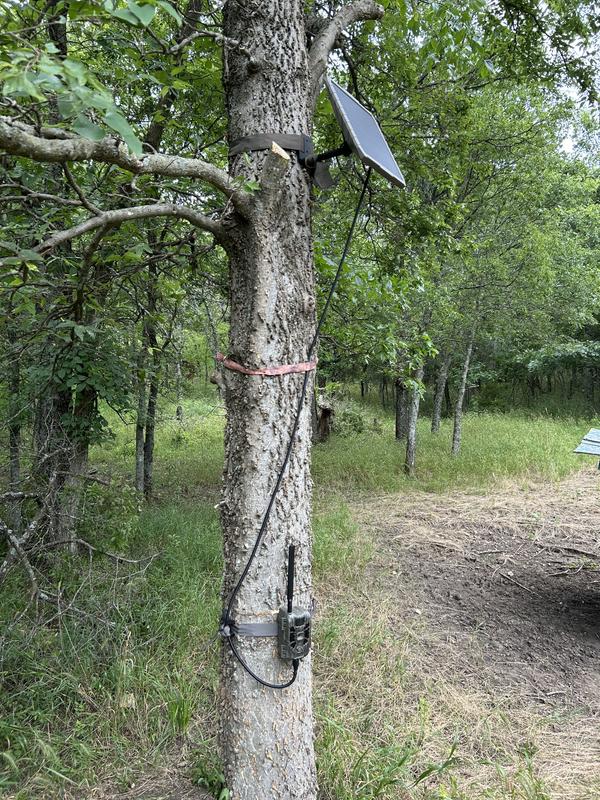 Photo - commentaire 1.