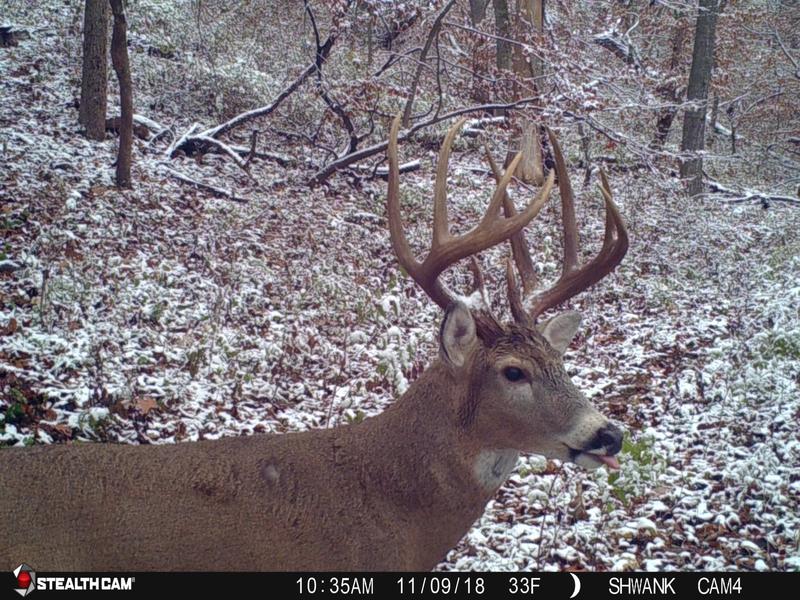 Catching snowflakes!