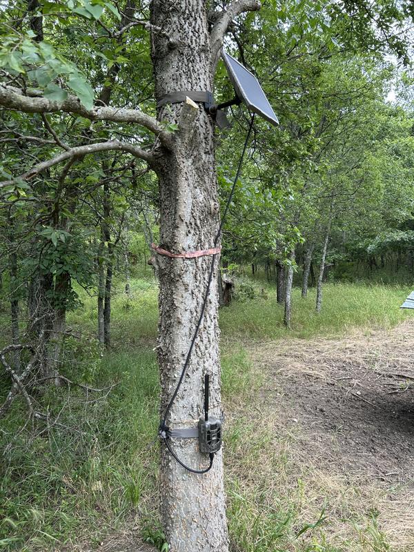 Photo - commentaire 2.