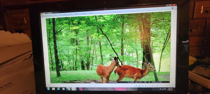 Photo - commentaire&nbsp;8.