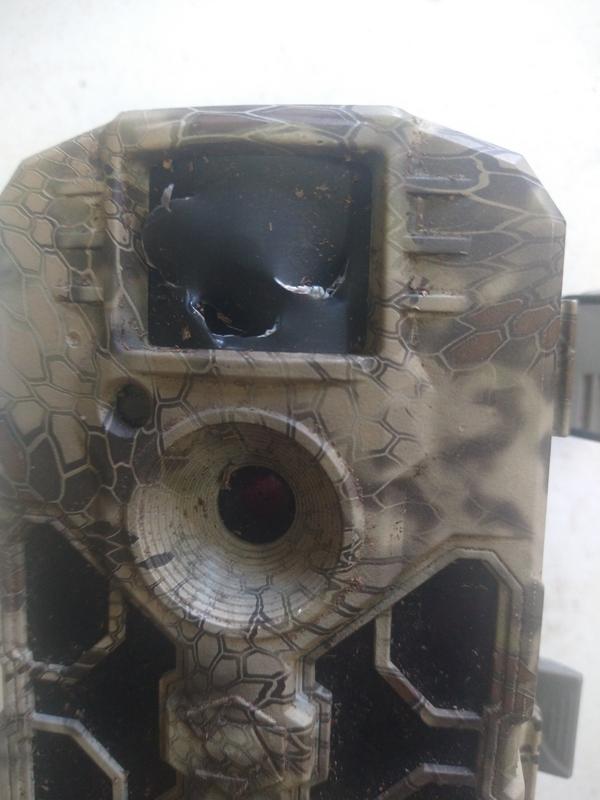 Photo - commentaire&nbsp;1.