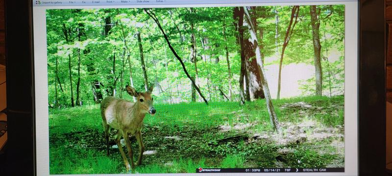 Photo - commentaire&nbsp;2.