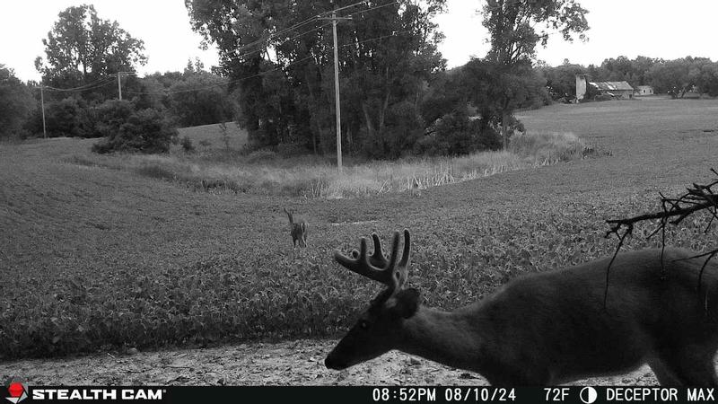 Stealth Cam Deer Camera Reviews Deceptor™ Max Cellular Trail
