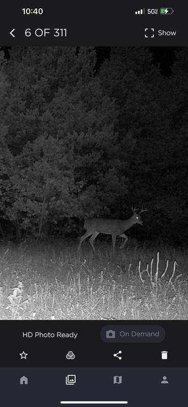Different views different deer that’s what I love about this camera