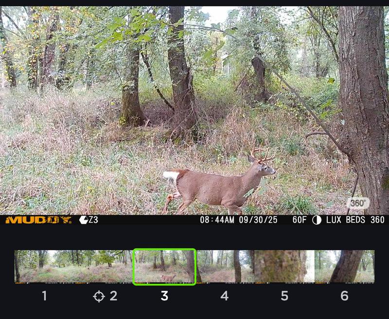 Revolver Pro 360° Cellular Trail Camera Stealth Cam