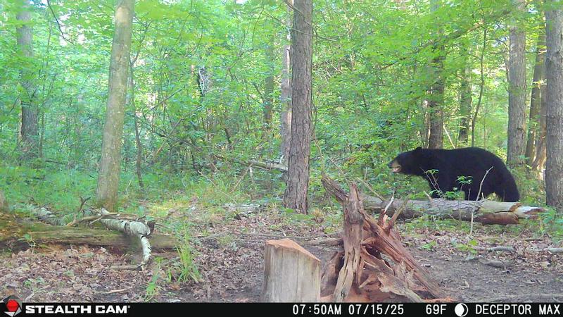 Review photo 4.