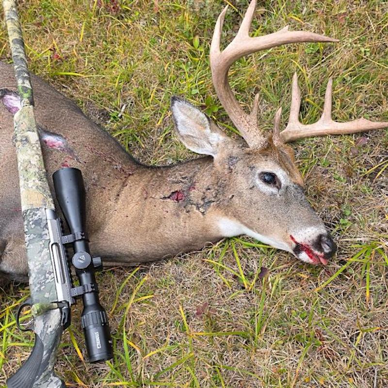 Predator 4 2.5-10x42 | Steiner High-Quality Optics
