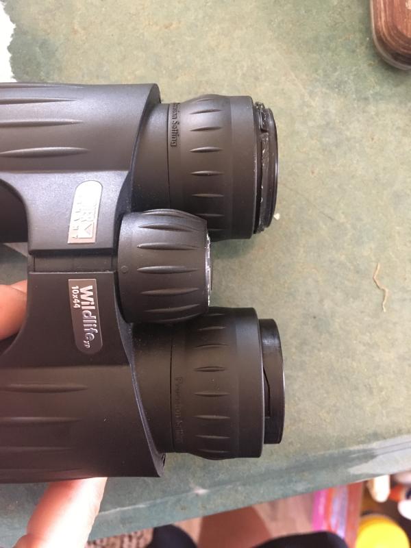 steiner wildlife xp 8x44