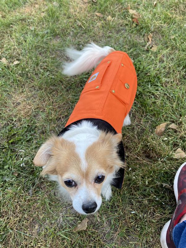 Love in her Carhartt ready for work
