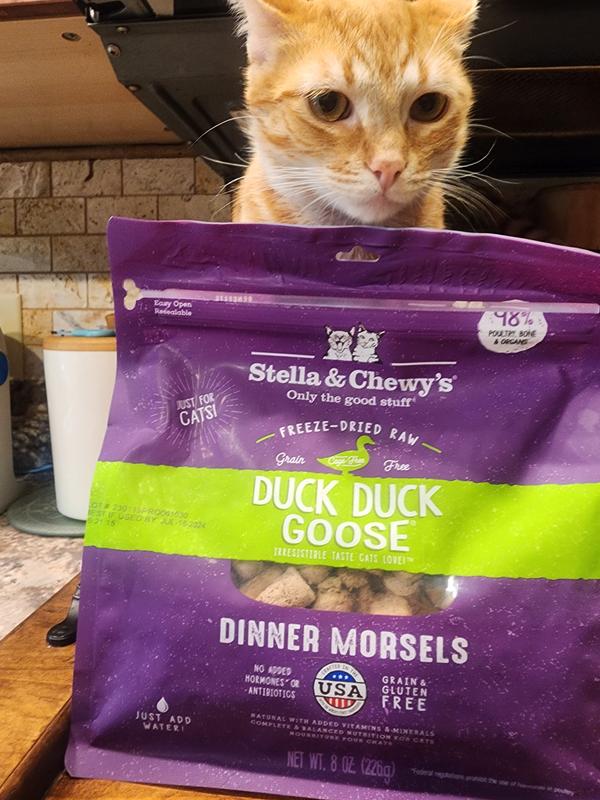 Stella and chewy cat hotsell food review