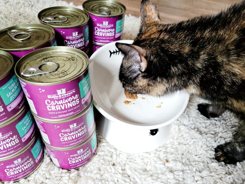 Chewy crave cat outlet food