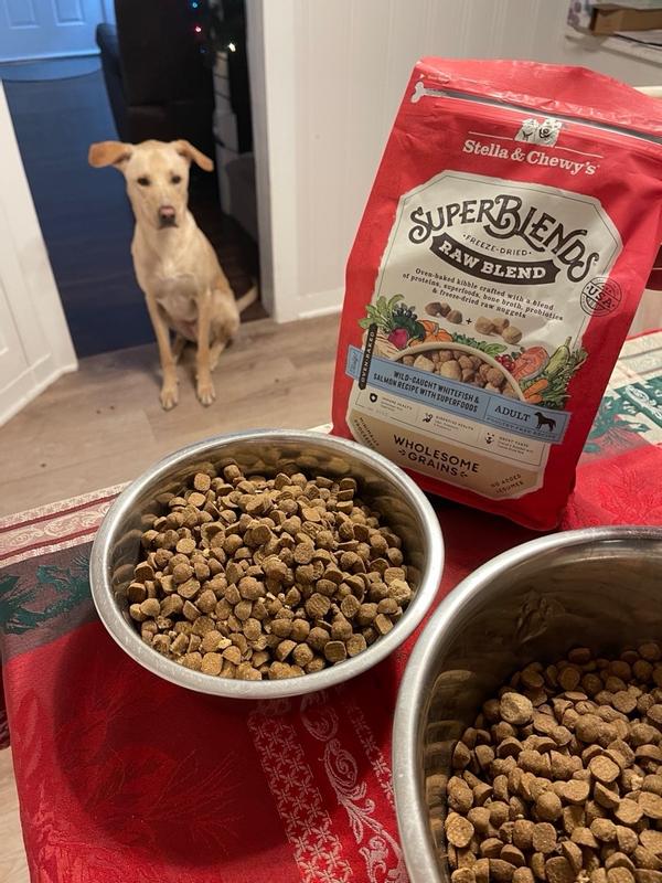 Baked Kibble Stella And Chewy Raw Blend Kibble Stella Chewy's Raw