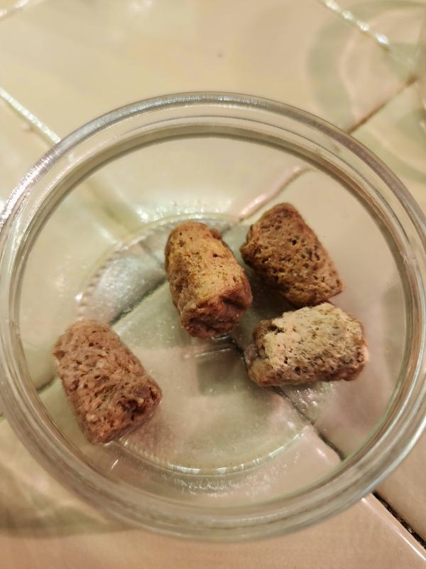 Yummy Lickin' Salmon & Chicken Freeze Dried Raw Cat Food: High