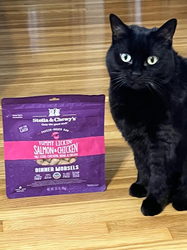 Yummy Lickin' Salmon & Chicken Freeze Dried Raw Cat Food: High