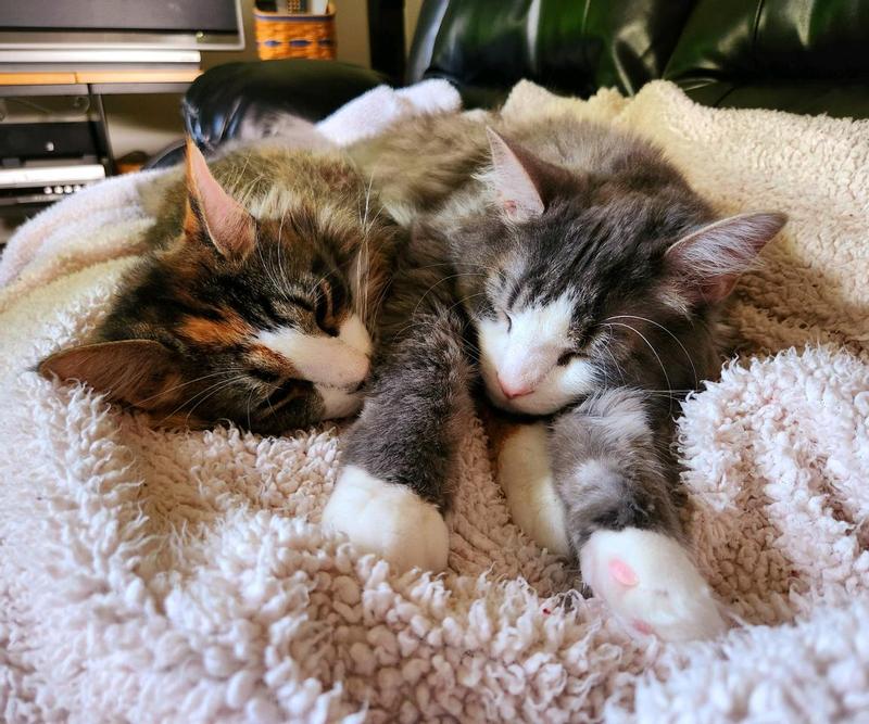Nap time is rough