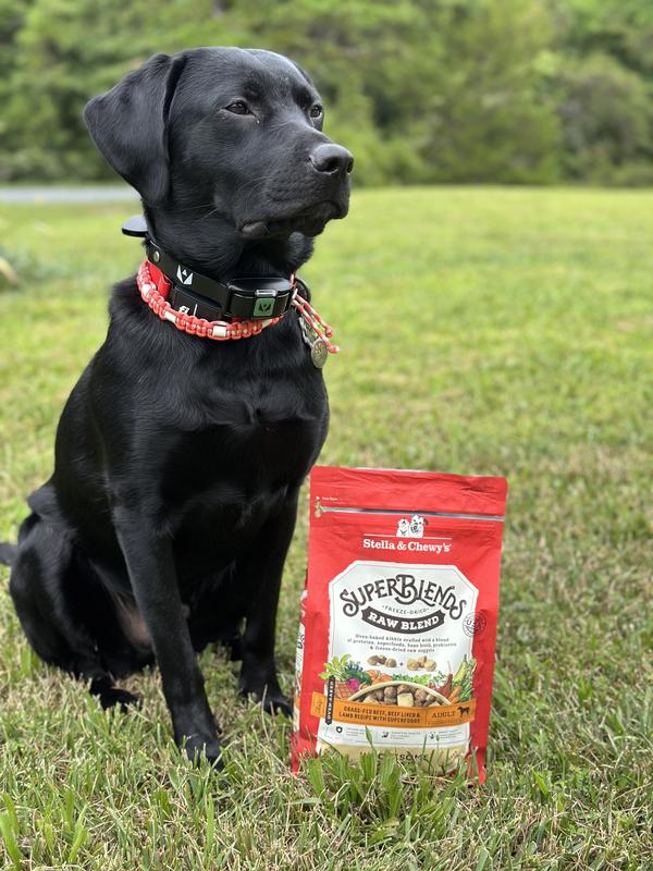 Stella and chewy store raw blend reviews