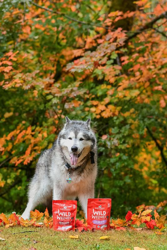 will pose for photos for Wild Weenies