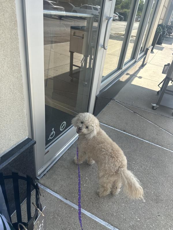 Suzie being her happy self. :)