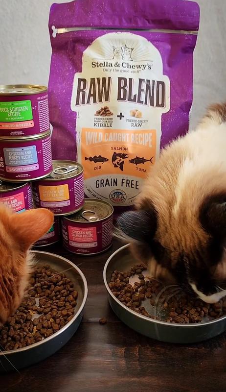 Stella Chewy s Raw Blend Kibble Grain Free Protein Rich Meals Wild Caught Fish Recipe Dry Cat Food 5 lbs. Petco