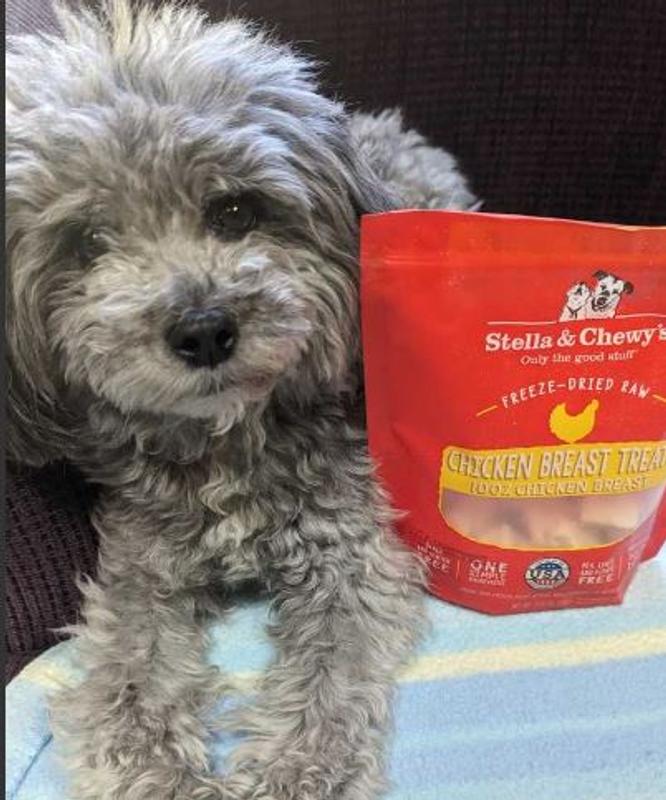 Stella Chewy's Freeze-Dried Raw Chicken Breast Dog Treats – Petsense