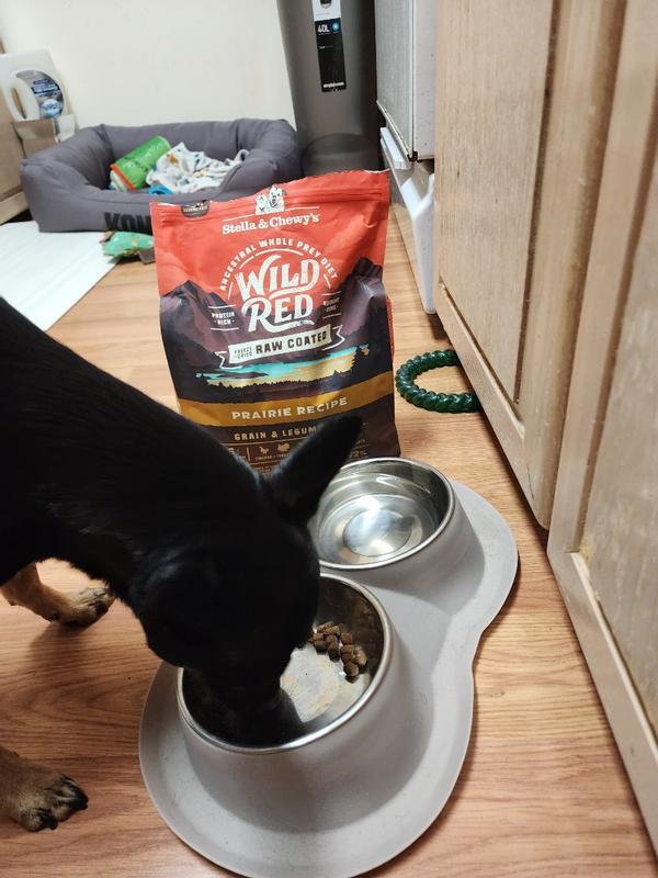 Best legume free outlet dog food