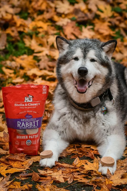 Stella Chewy s Absolutely Rabbit Grain Free Dinner Patties