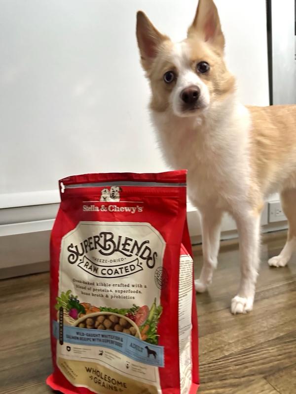 Canidae raw coated review 2025