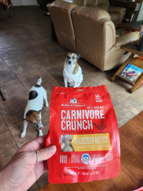 Stella & chewy's outlet carnivore crunch