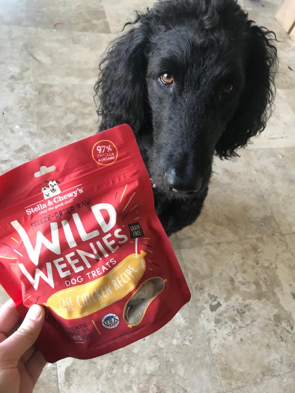 Cage Free Chicken Wild Weenies Freeze Dried Raw Grain Free High Protein Dog Training Treats